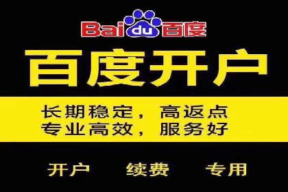 竞价推广策略：某电商平台的成功案例